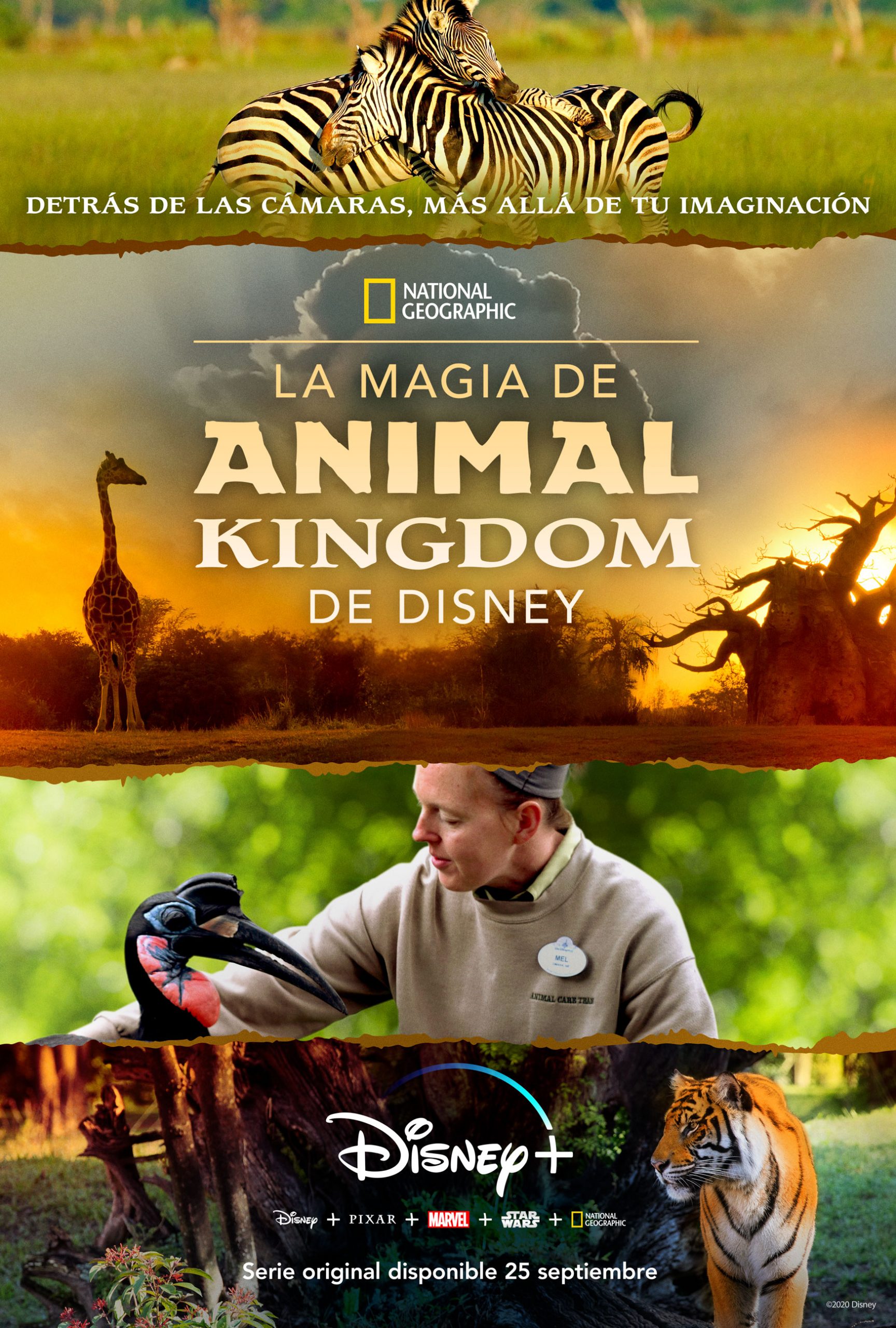 LA MAGIA DE ANIMAL KINGDOM DE DISNEY